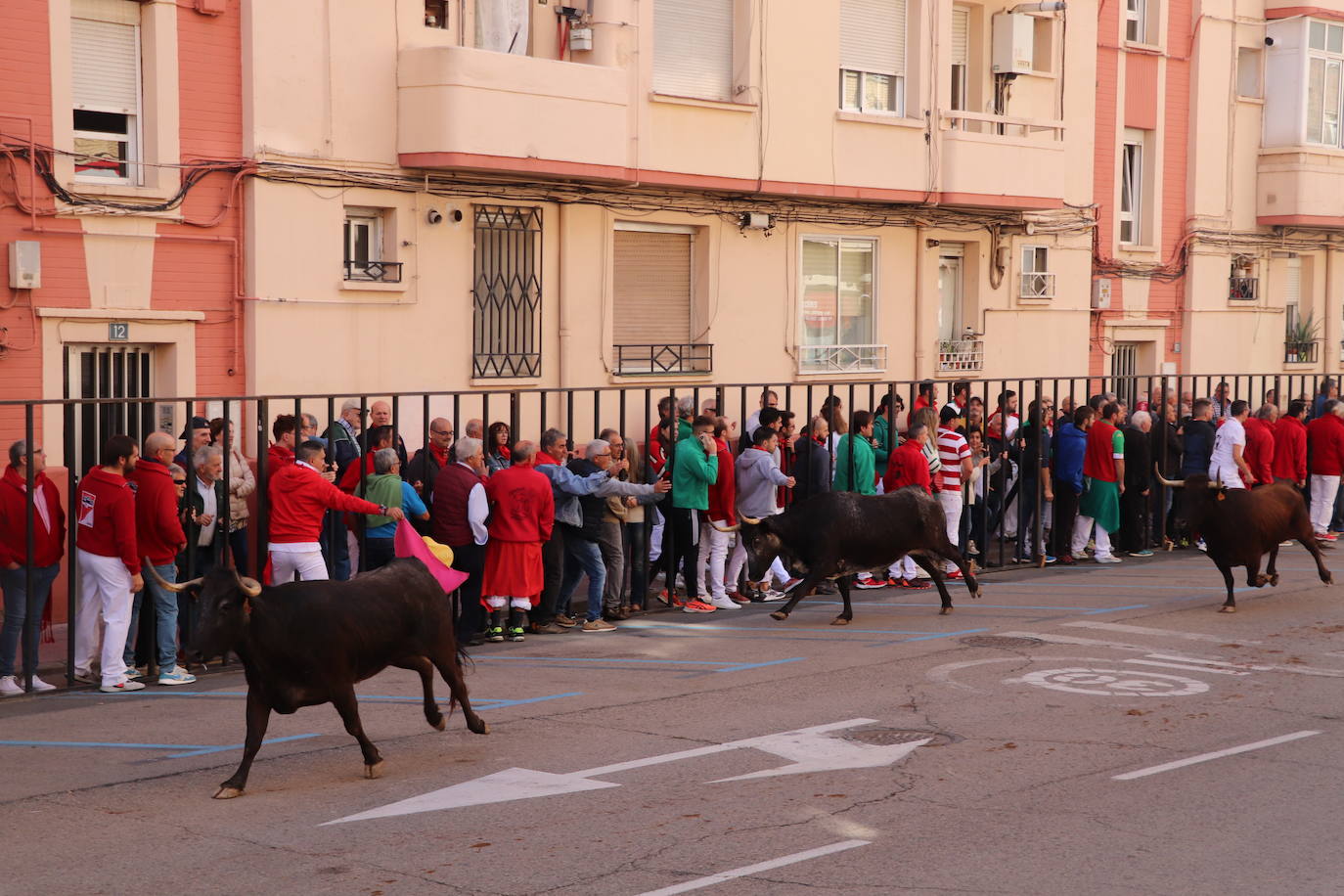 Fotos: Tercer día de fiestas en Arnedo