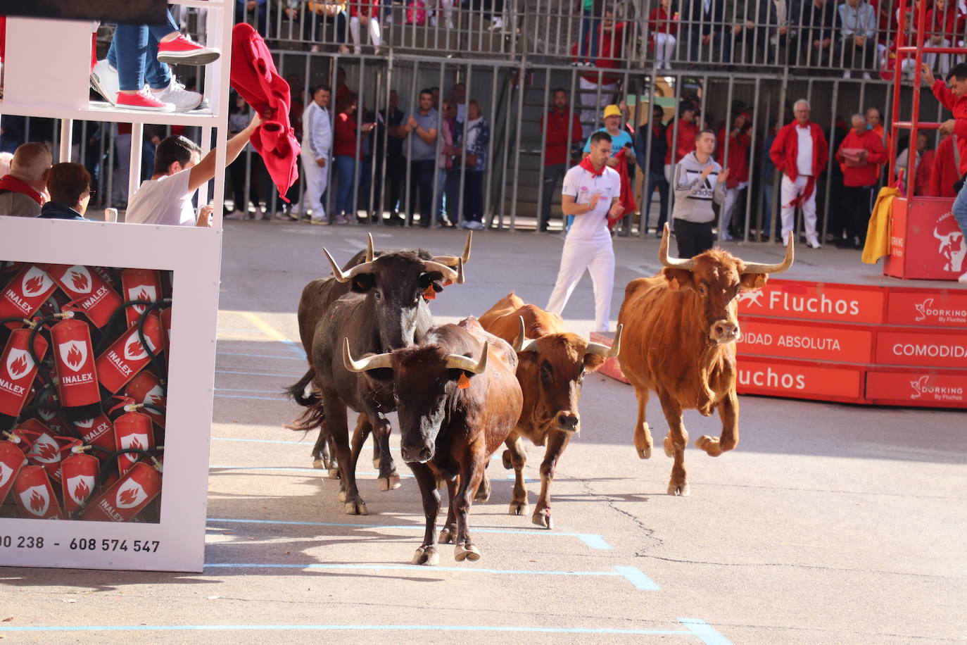 Fotos: Tercer día de fiestas en Arnedo