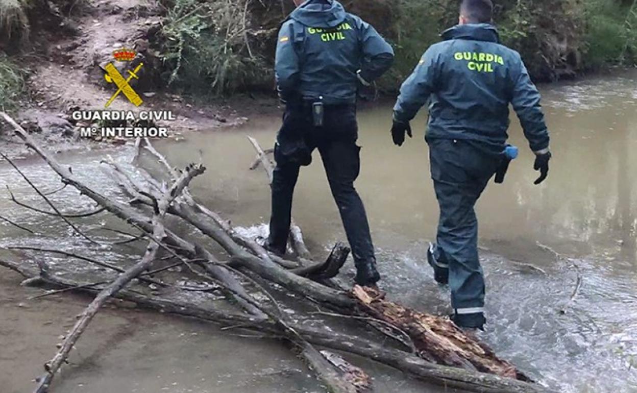 Incautan una plantación de marihuana en una montaña de difícil acceso de Guadalajara