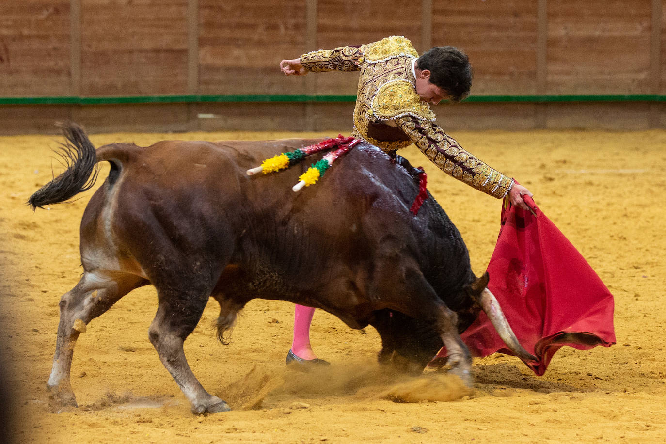 Fotos: Fabio Jiménez alcanza el triunfo en la novillada de Arnedo