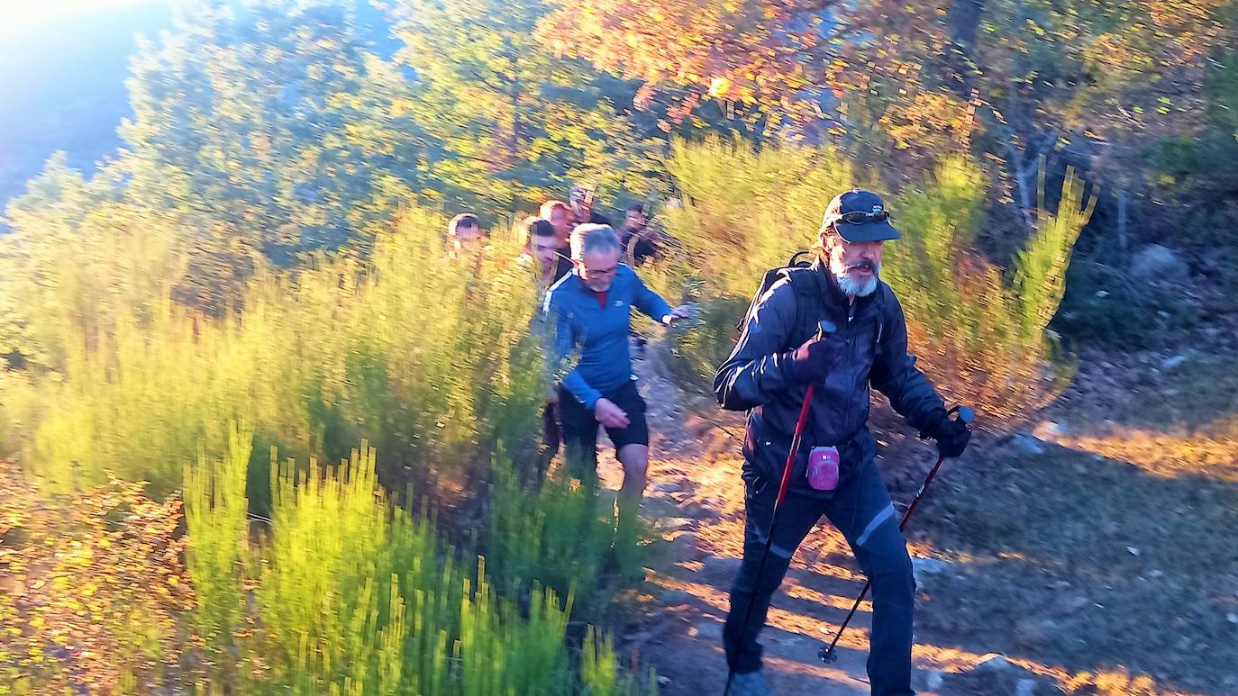 Fotos: Más de 300 senderistas recorren la Sierra de Cebollera