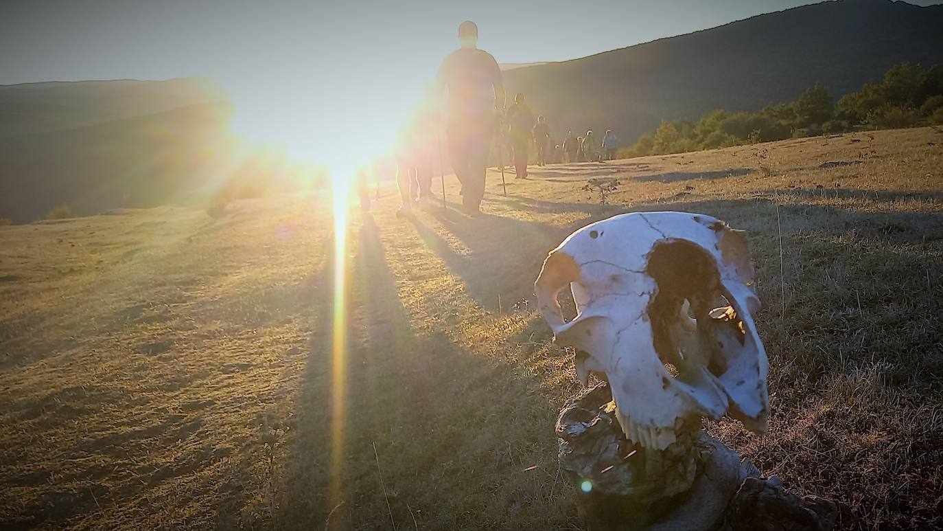 Fotos: Más de 300 senderistas recorren la Sierra de Cebollera