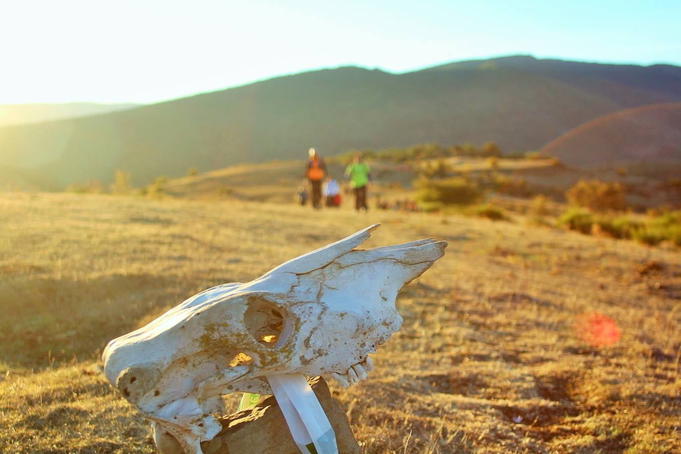 Fotos: Más de 300 senderistas recorren la Sierra de Cebollera