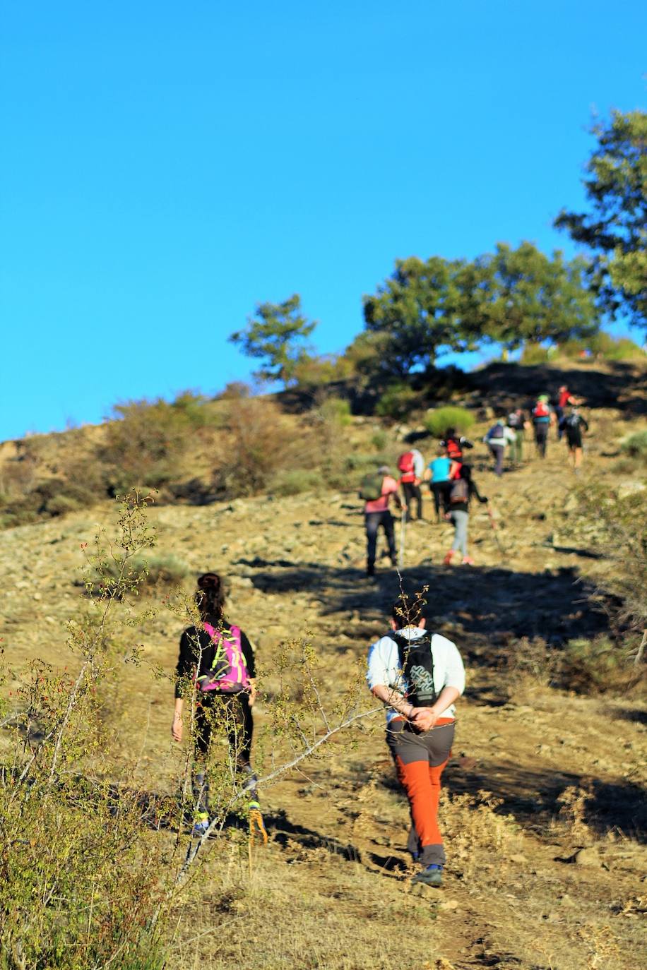 Fotos: Más de 300 senderistas recorren la Sierra de Cebollera