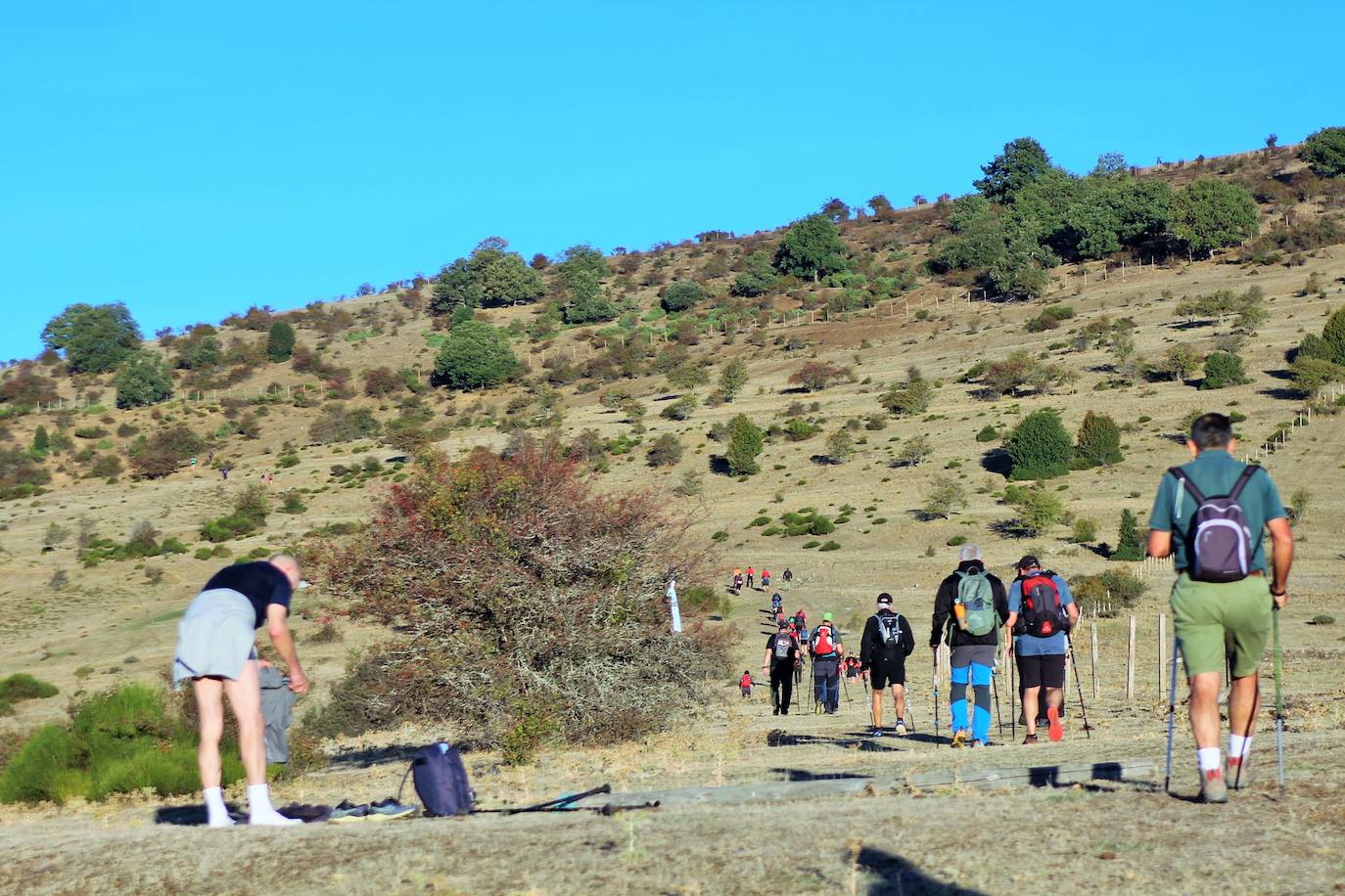 Fotos: Más de 300 senderistas recorren la Sierra de Cebollera