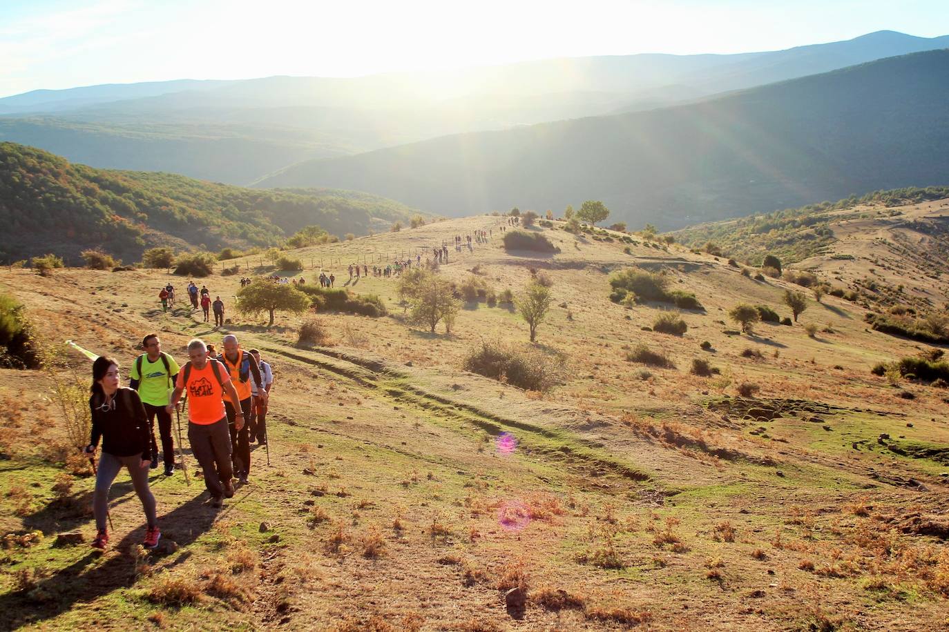 Fotos: Más de 300 senderistas recorren la Sierra de Cebollera