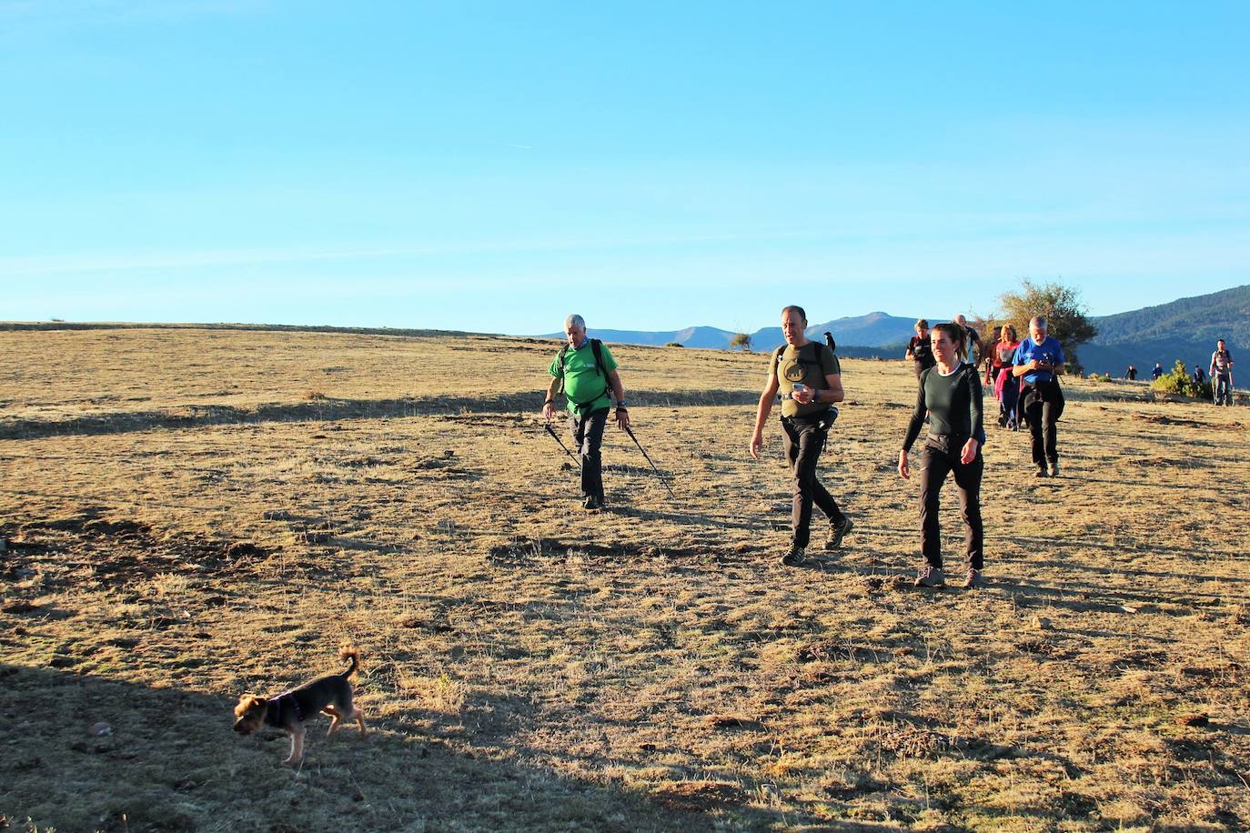 Fotos: Más de 300 senderistas recorren la Sierra de Cebollera