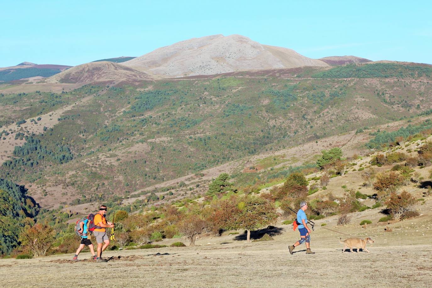 Fotos: Más de 300 senderistas recorren la Sierra de Cebollera