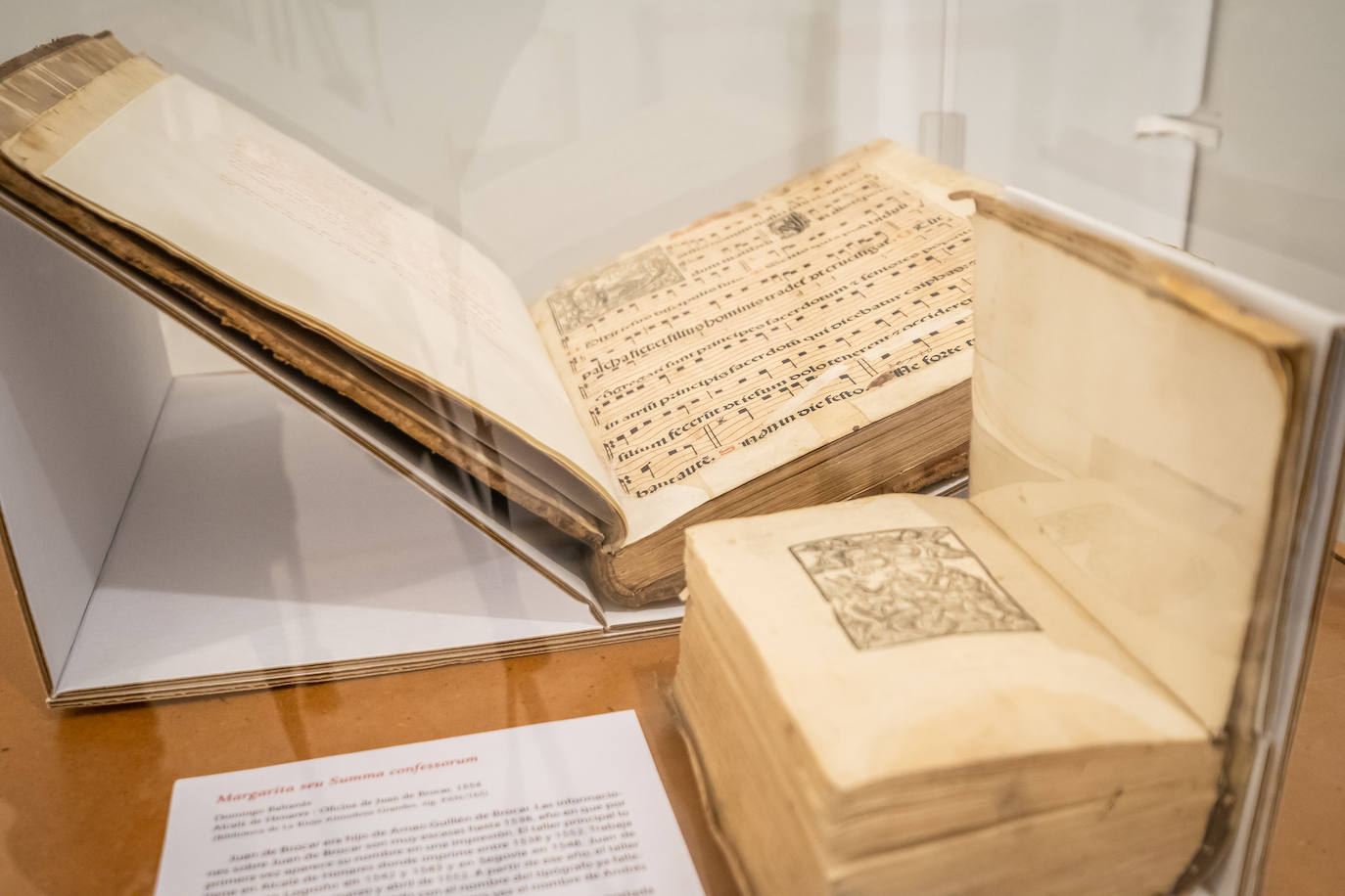 Fotos: La Biblioteca de La Rioja exhibe varias joyas bibliográficas de Guillén de Brocar