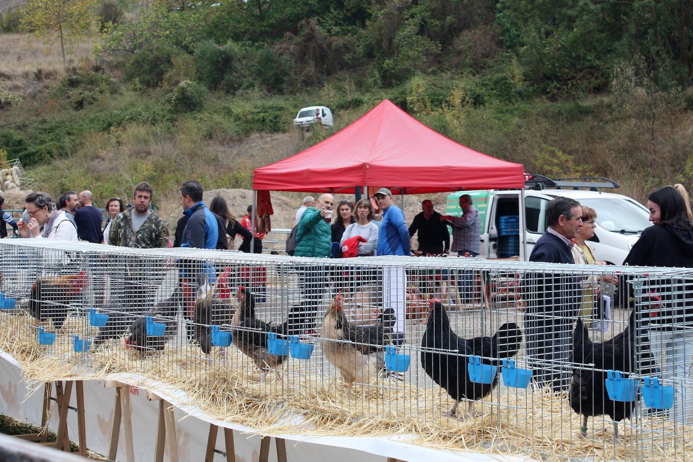 Fotos: Feria ganadera de Anguiano