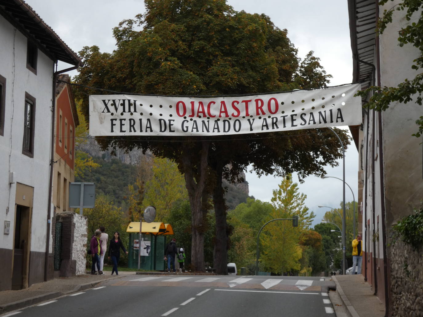 Fotos: Feria ganadera y de artesanía agroalimentaria de Ojacastro