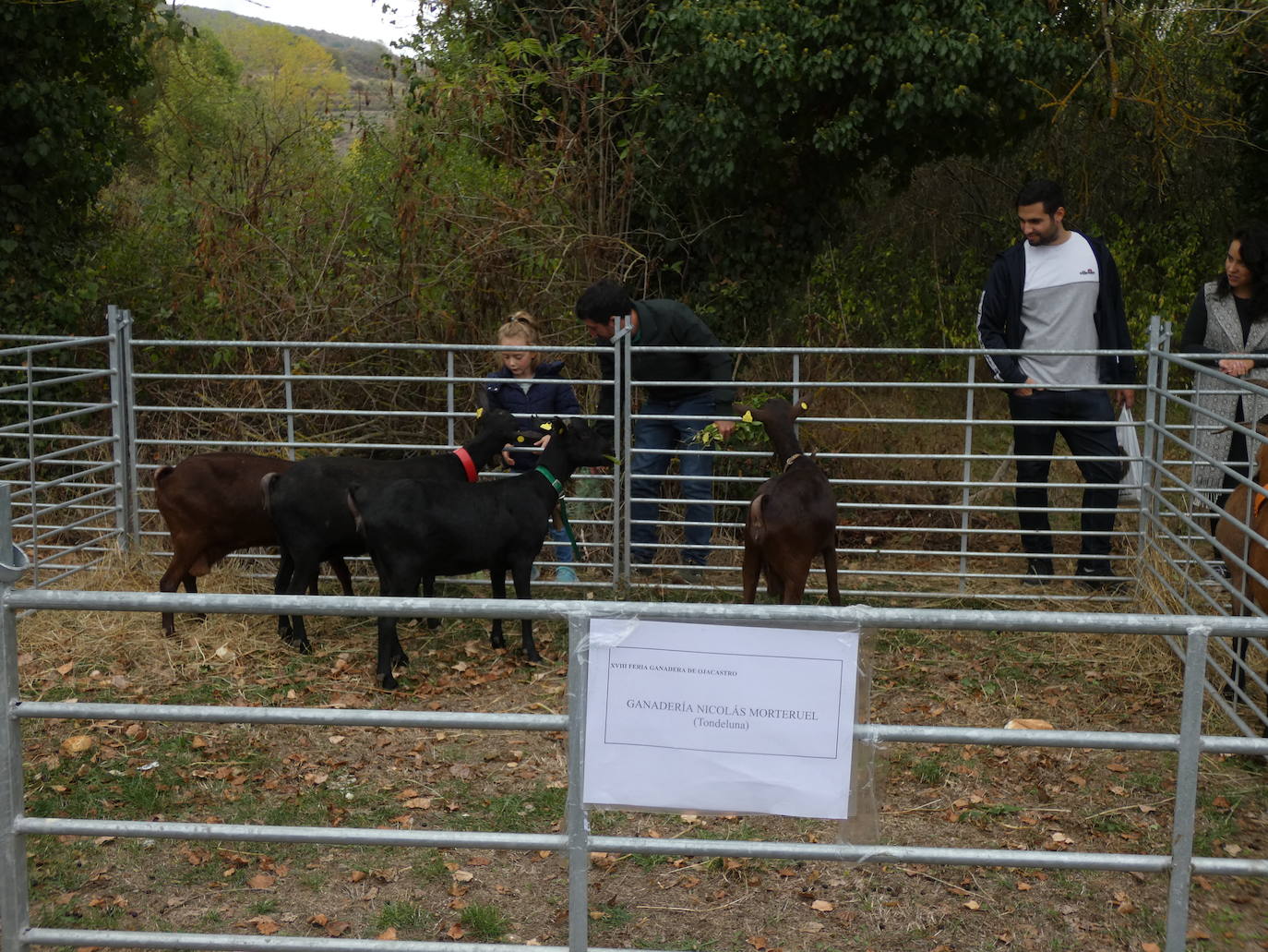 Fotos: Feria ganadera y de artesanía agroalimentaria de Ojacastro