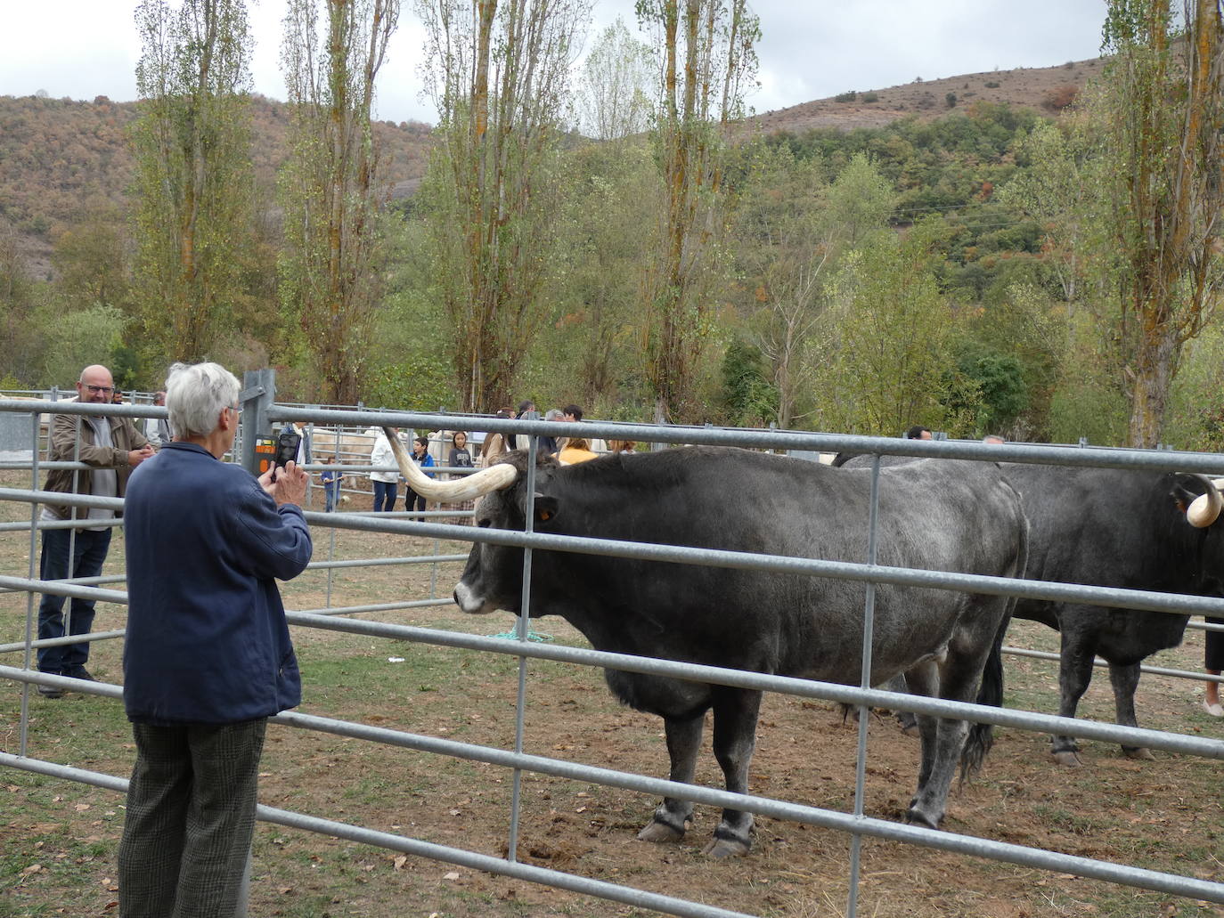 Fotos: Feria ganadera y de artesanía agroalimentaria de Ojacastro