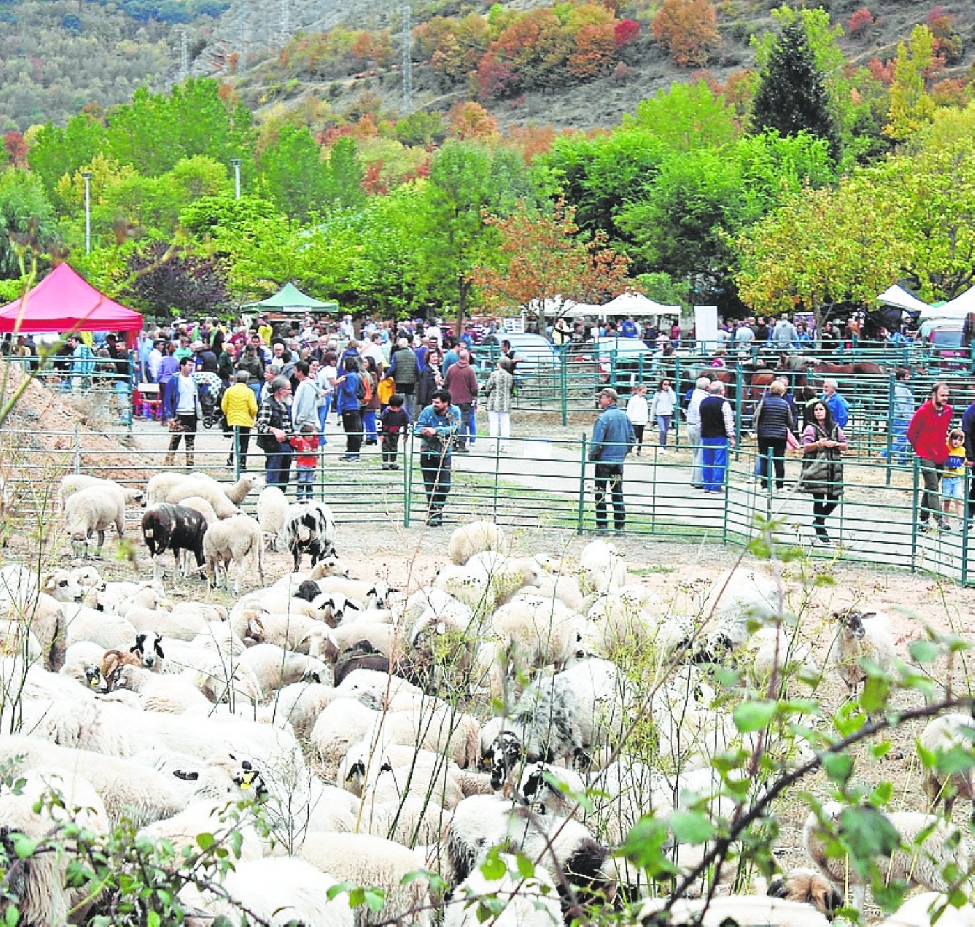 La feria tuvo un gran ambiente toda la mañana. 