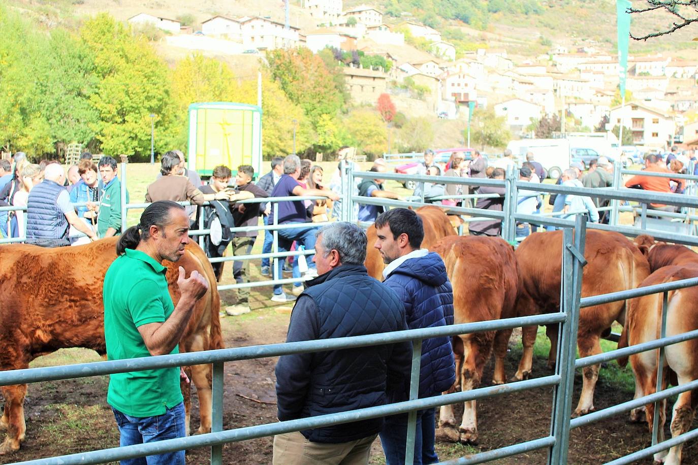 Fotos: Lo más granado de la ganadería camerana