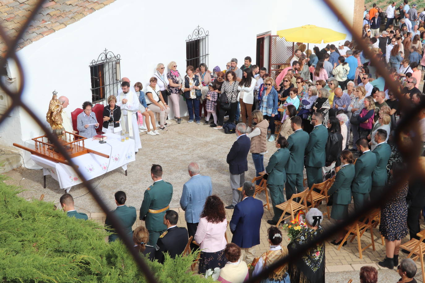 Fotos: La tradición del Pilar se reinventa en Alfaro