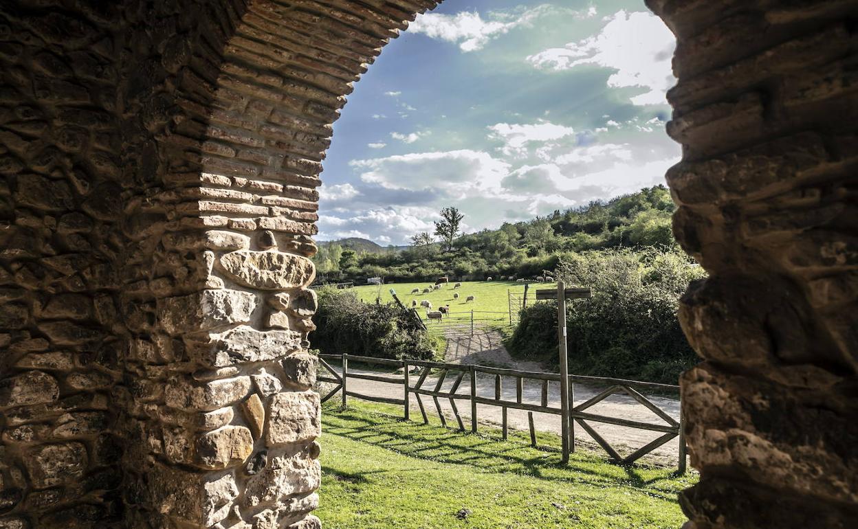 Una vista de un paraje de Laguna de Cameros.