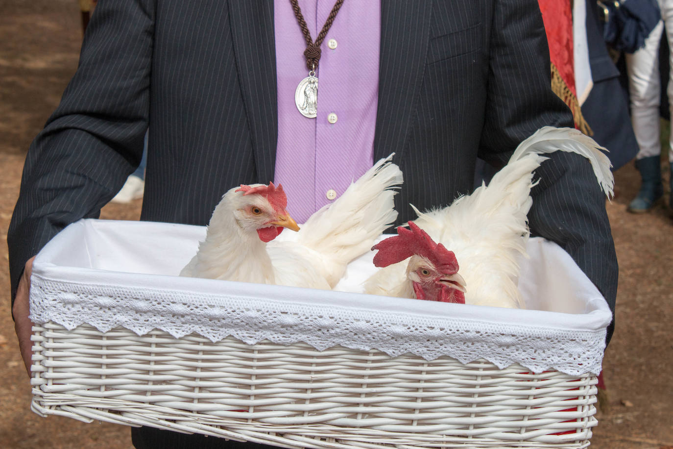 Fotos: Santo Domingo recuerda el milagro del gallo y la gallina con su romería