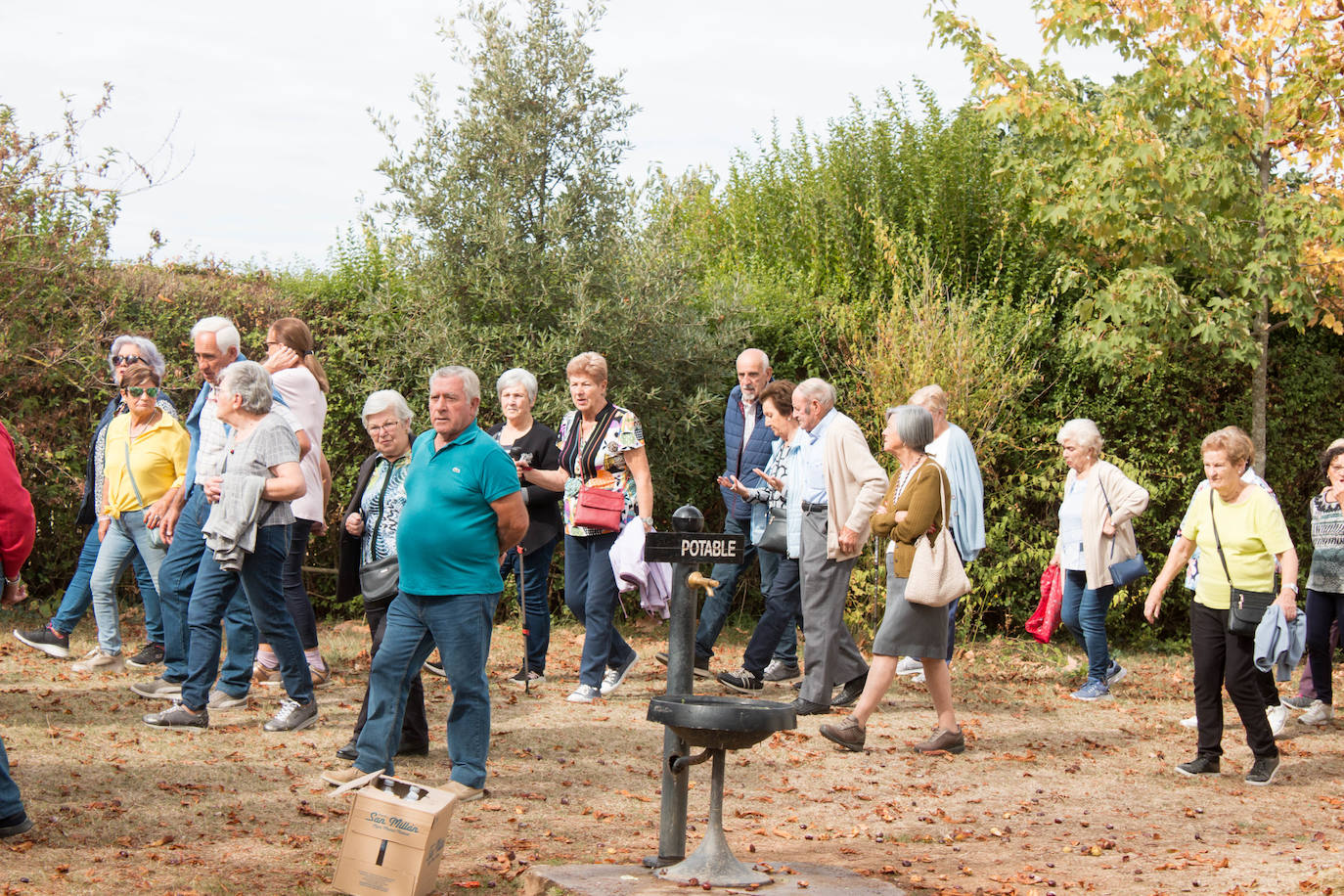 Fotos: Santo Domingo recuerda el milagro del gallo y la gallina con su romería