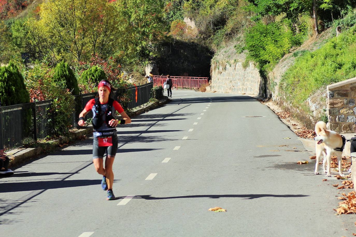Fotos: Medio maratón del II Torrecilla Trail