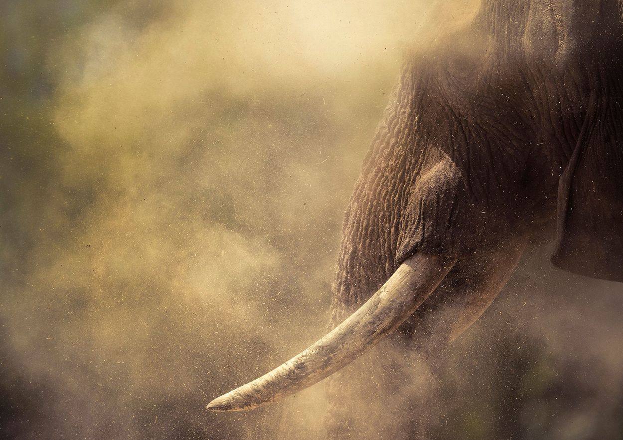 El polvo africano alrededor del supergigante es uno de los mejores espectáculos de la salvaje Namibia.