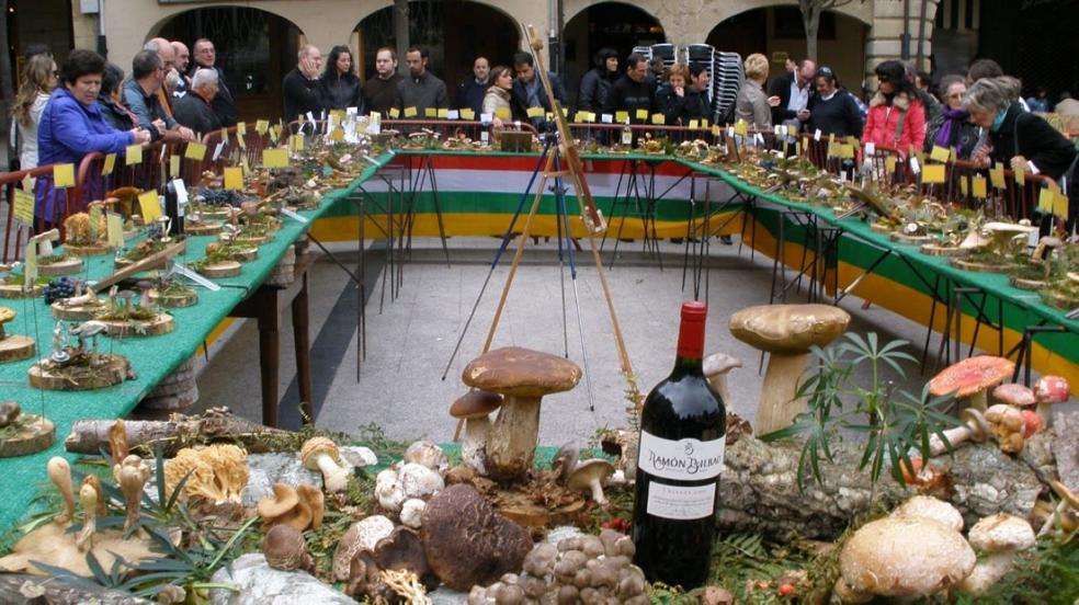 Exposición en la plaza celebrada durante una edición anterior. 