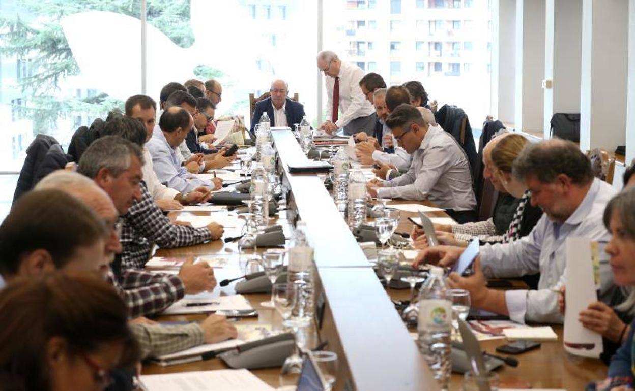 Imagen de la reunión del pleno de este viernes. 