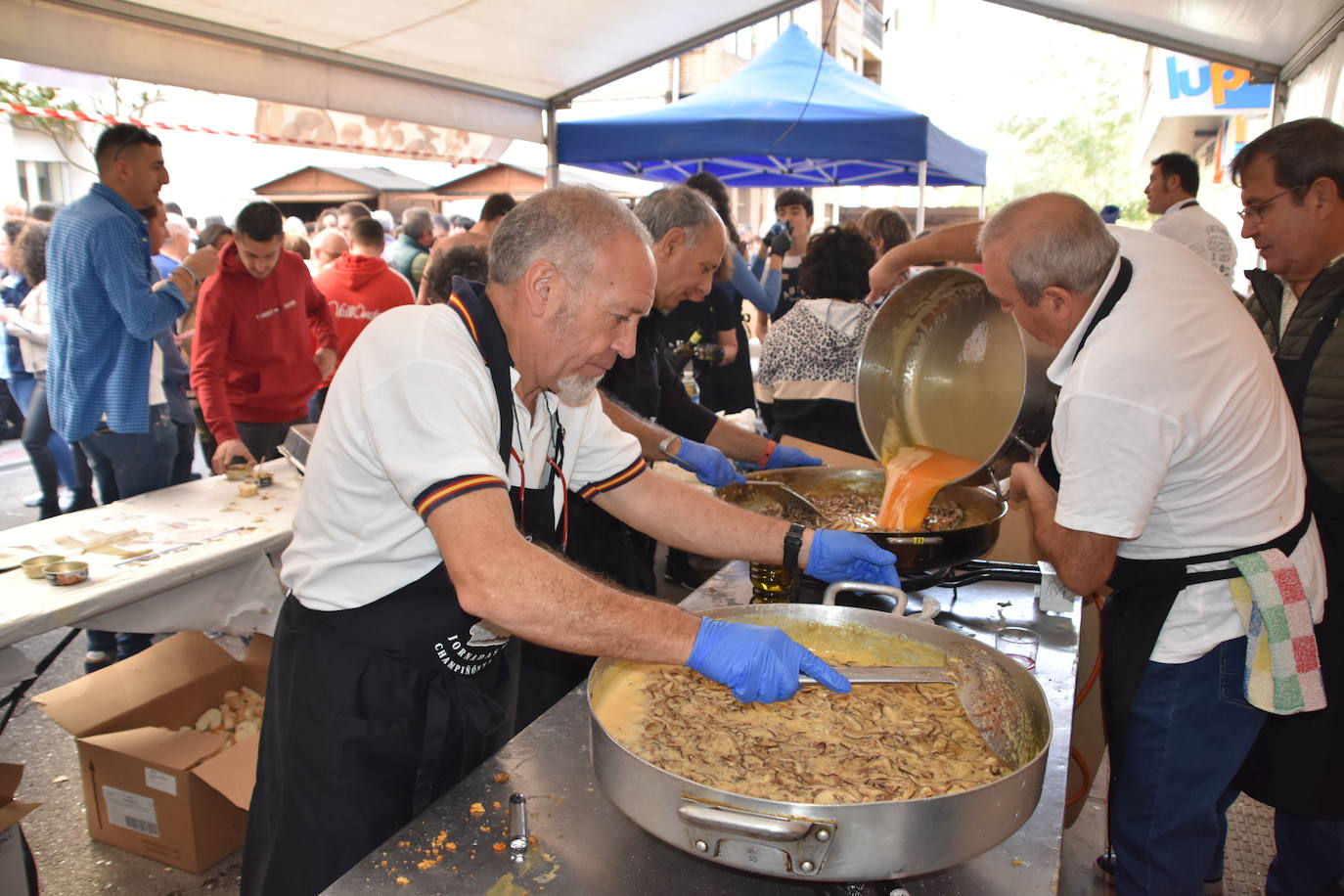 Fotos: Degustaciones y cocina en directo en las Jornadas de la seta y el champiñón en Autol