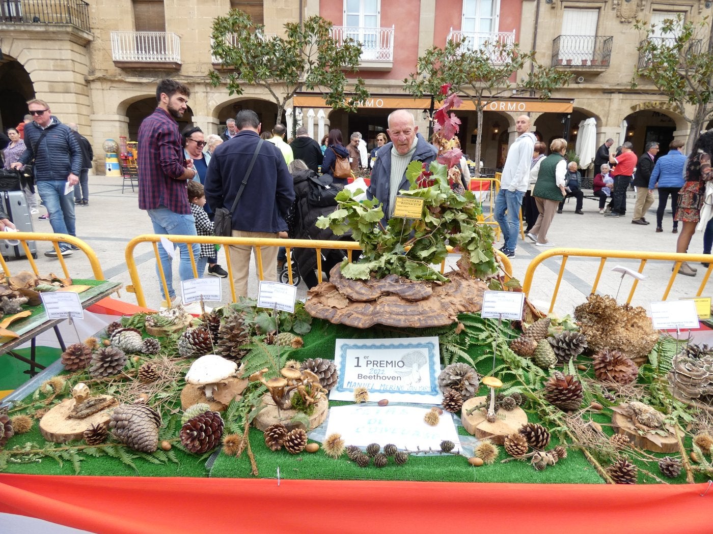 Seta ganadora del primer premio de las jornadas de este año. 