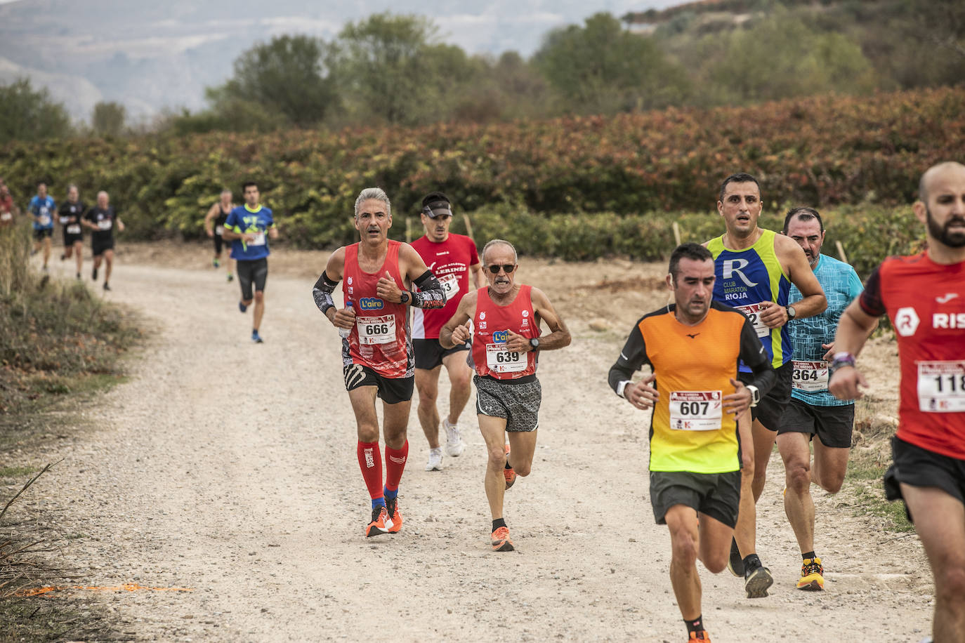 Fotos: Atletas entre las viñas