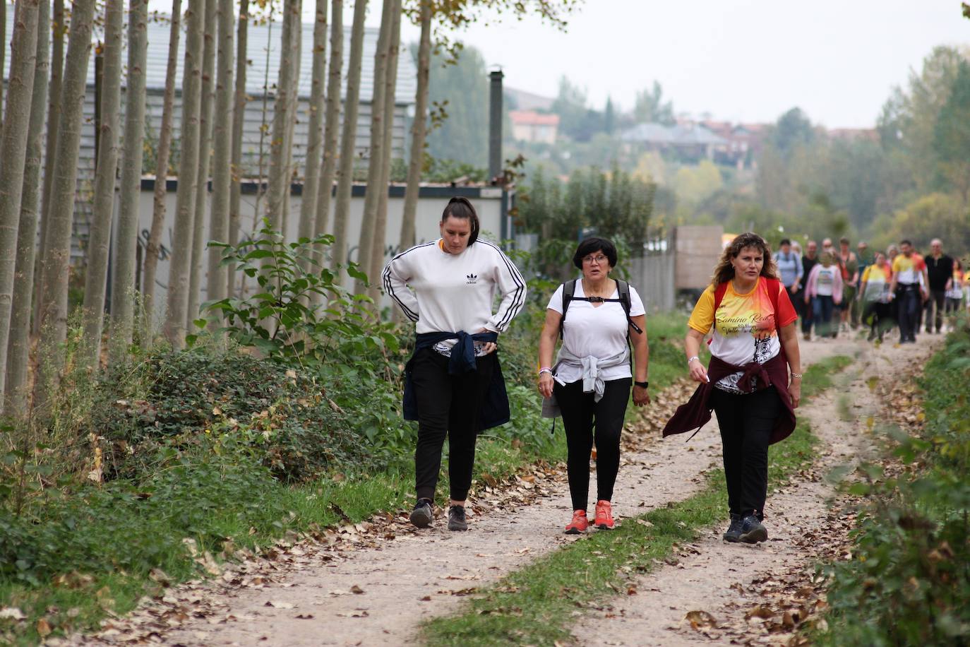 Fotos: Visita al Valle de la Lengua: doscientas personas recorren el Camino Real entre Nájera y San Millán de la Cogolla