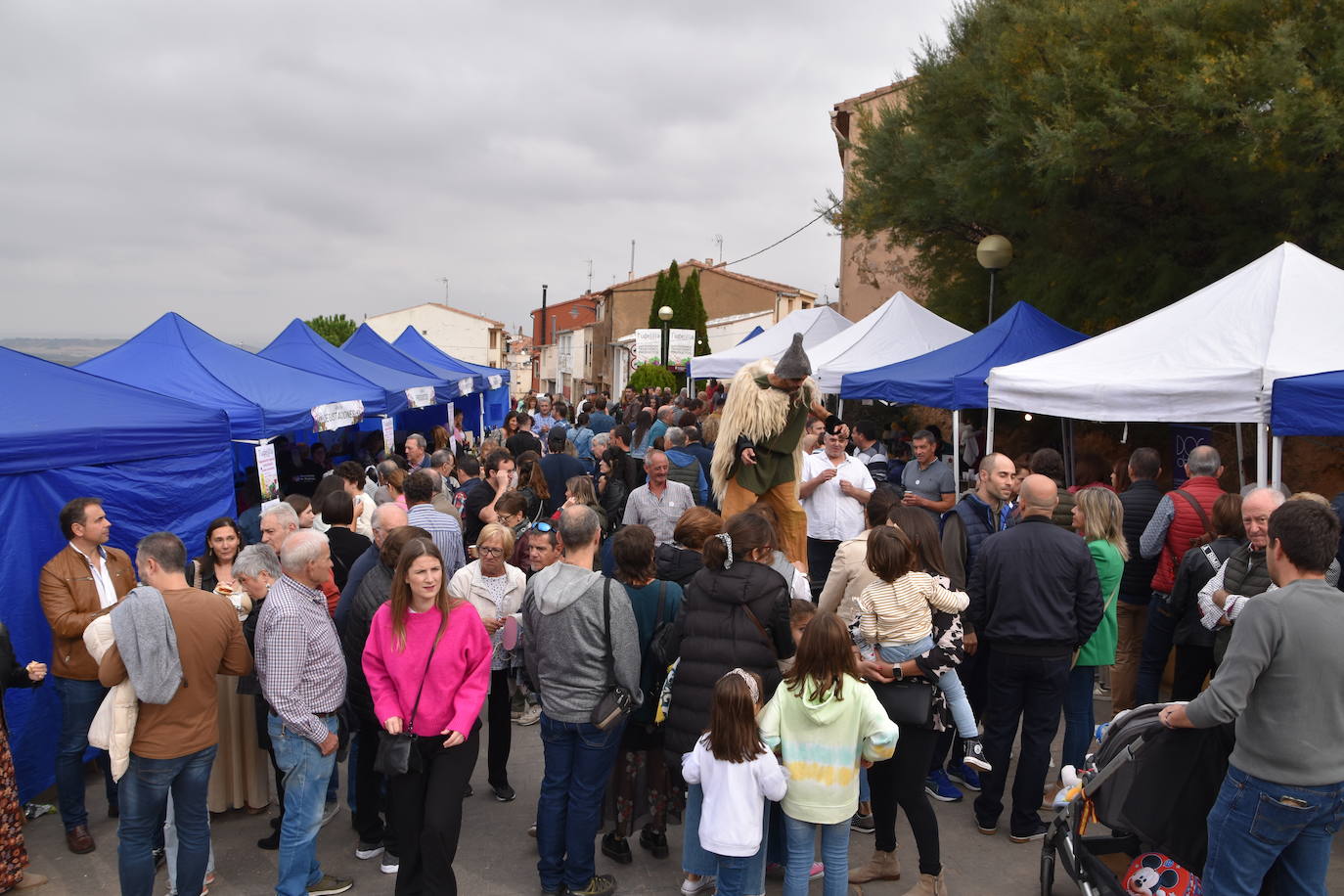 Fotos: Degustaciones, animación, actividades infantiles y exposición en &#039;Tudelilla Tal Cual&#039;