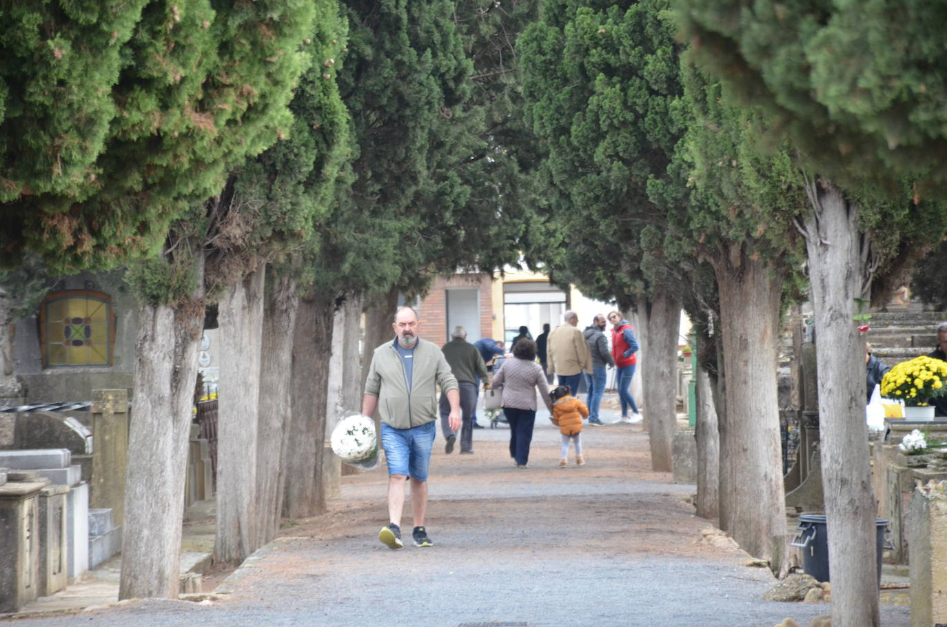 Mañana en el cementerio de Calahorra