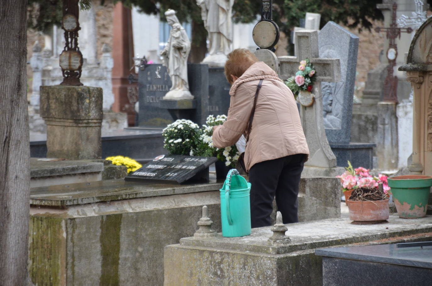 Mañana en el cementerio de Calahorra