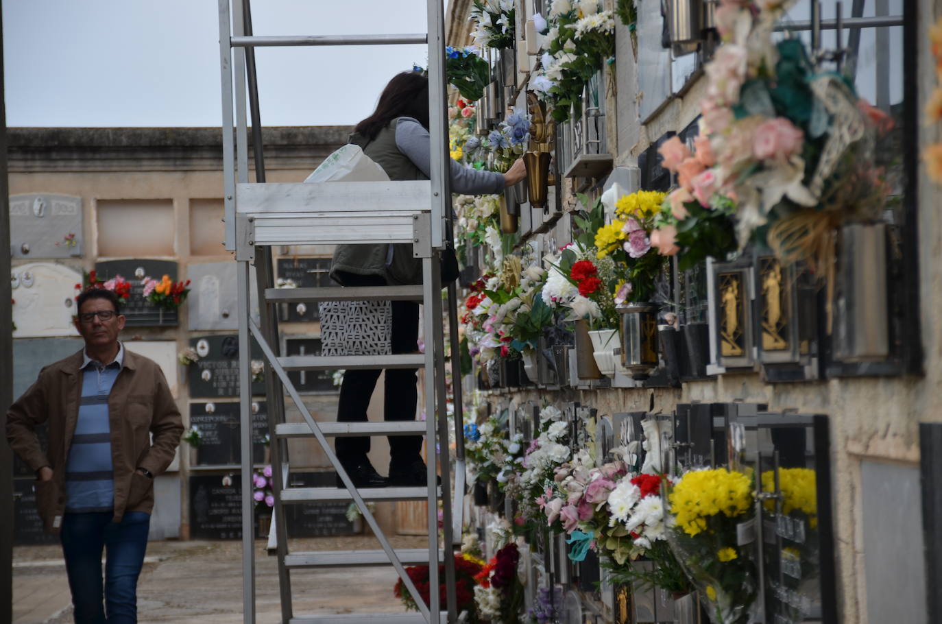 Mañana en el cementerio de Calahorra