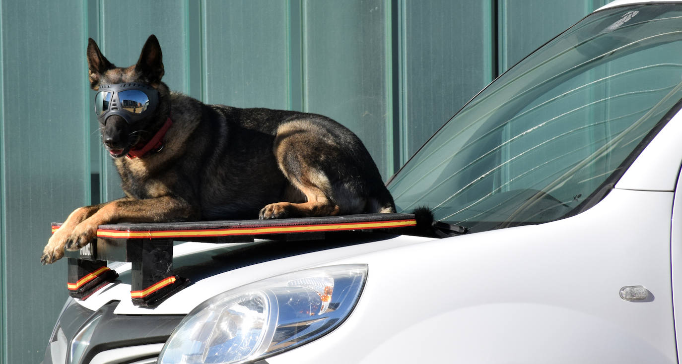 Fotos: La Policía Nacional se acerca a los niños