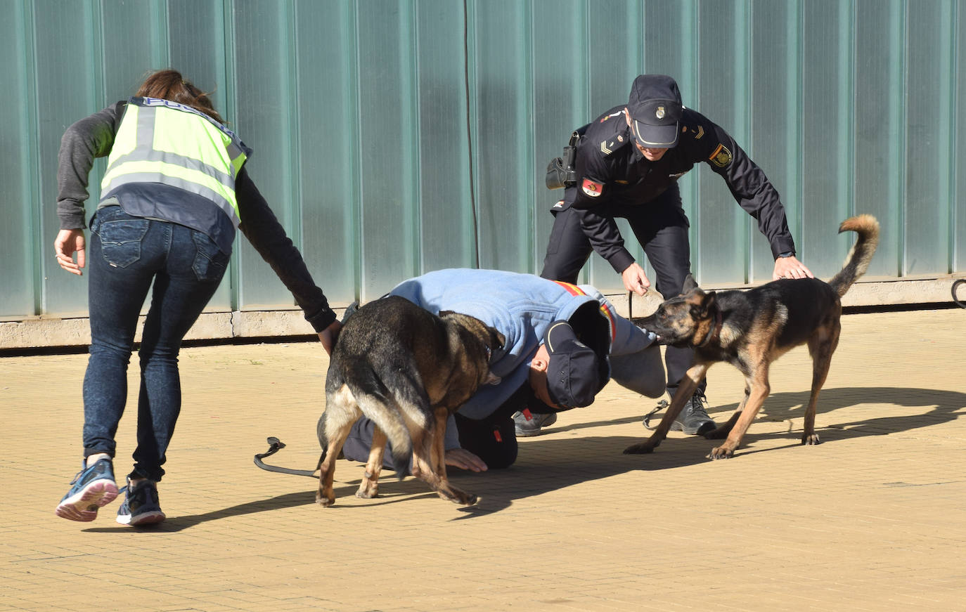 Fotos: La Policía Nacional se acerca a los niños