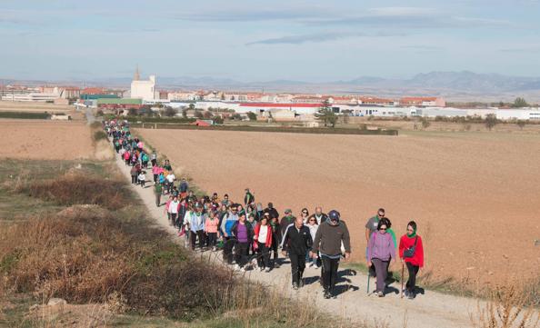 La marcha, por el Camino de Santiago en dirección a cirueña, con la ciudad calceatense al fondo. 