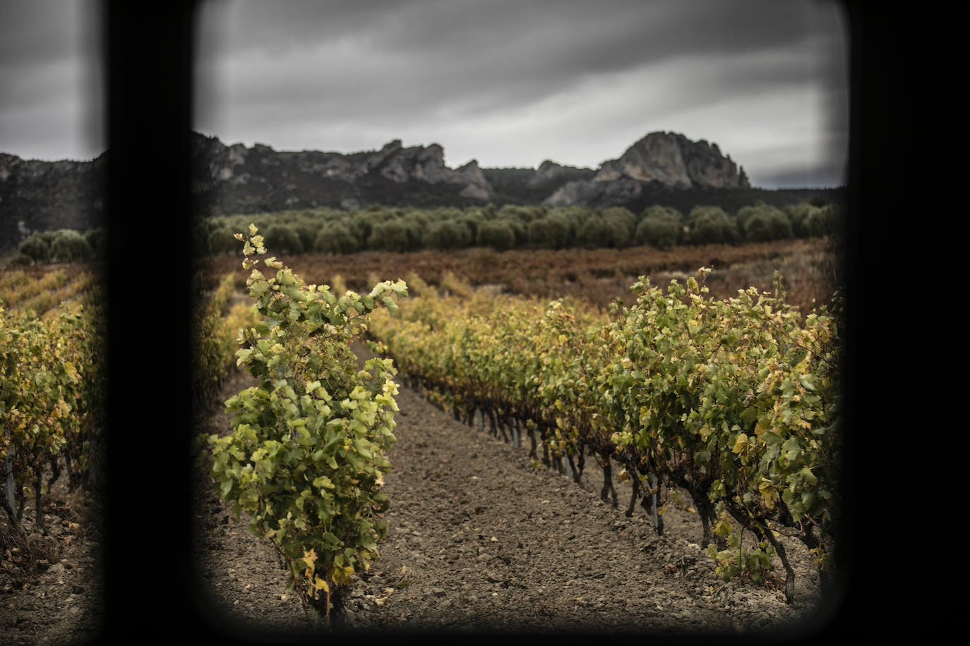 Fotos: Paisajes otoñales | Los Obarenes