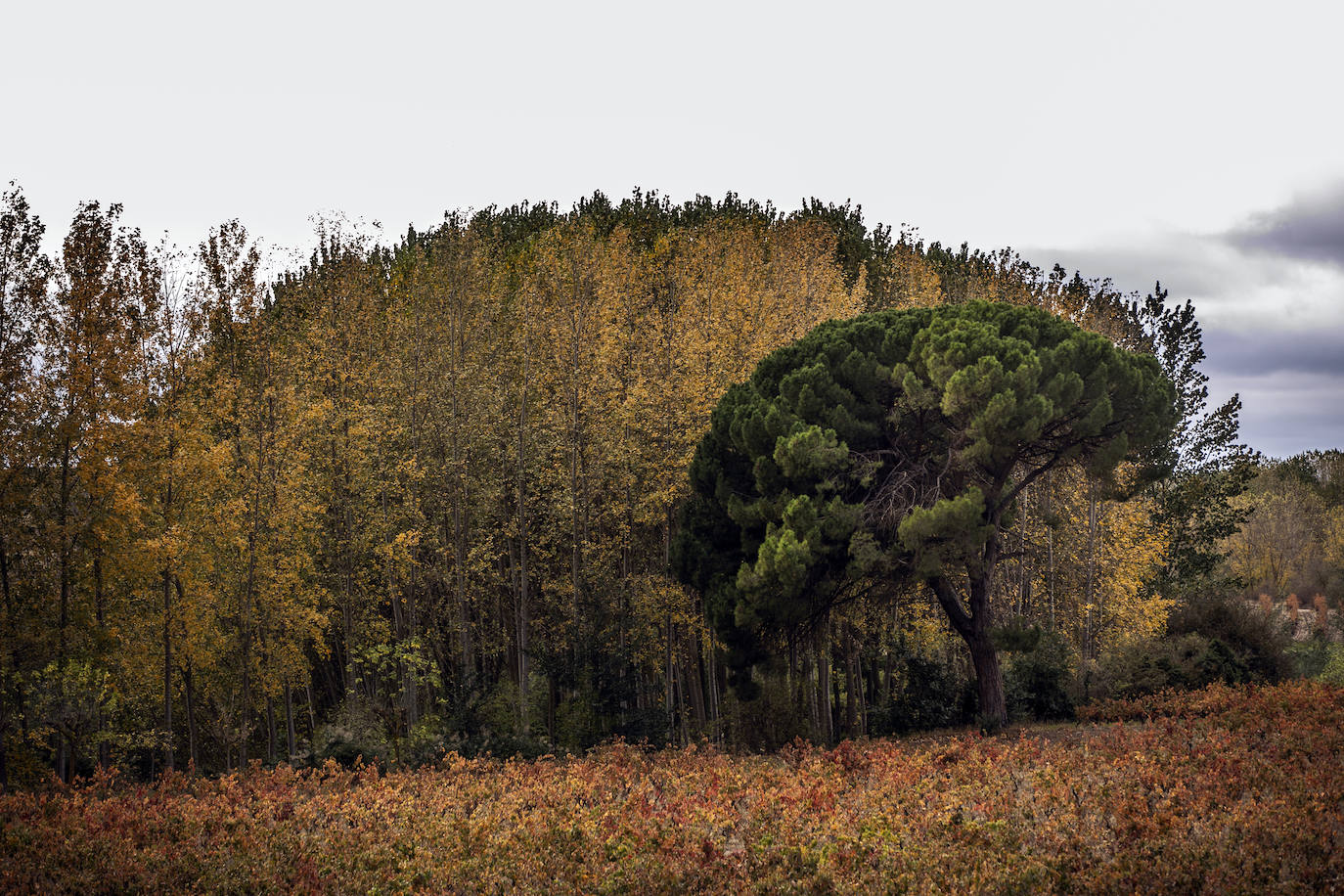 Fotos: Paisajes otoñales | Los Obarenes