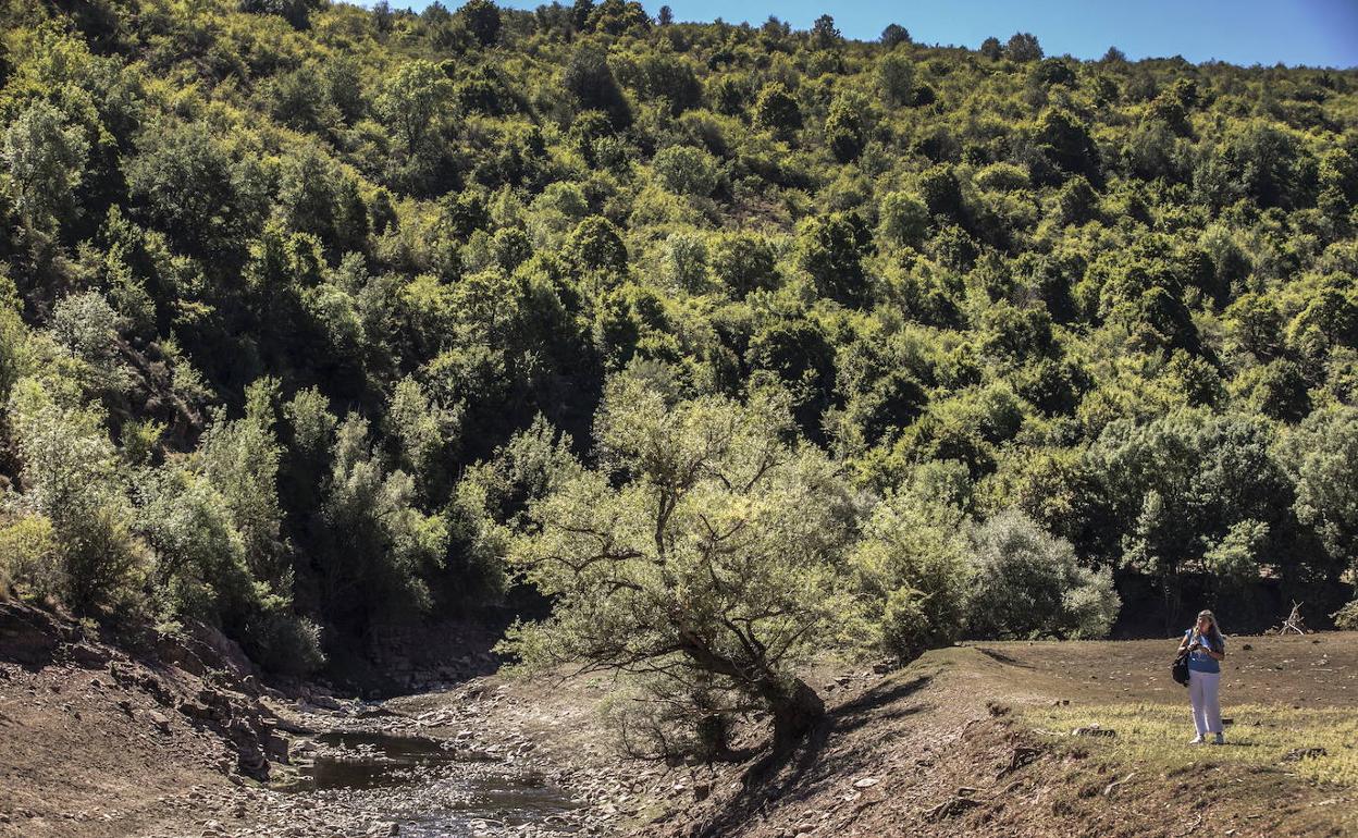 Paraje de Mansilla de la Sierra, en una imagen de archivo. 