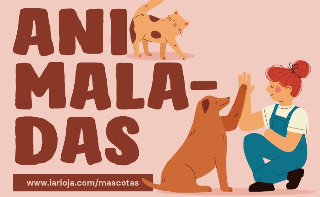 Este sábado, nueva entrega de 'Animaladas', el espacio informativo dedicado al cuidado de tu mascota