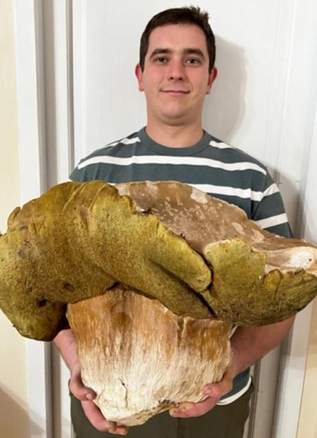 Imagen - El boletus crecía en los bosques del Val de l'Eyre. / Paul Guégan