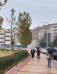 Imagen secundaria 2 - Calle Miguel Delibes. 