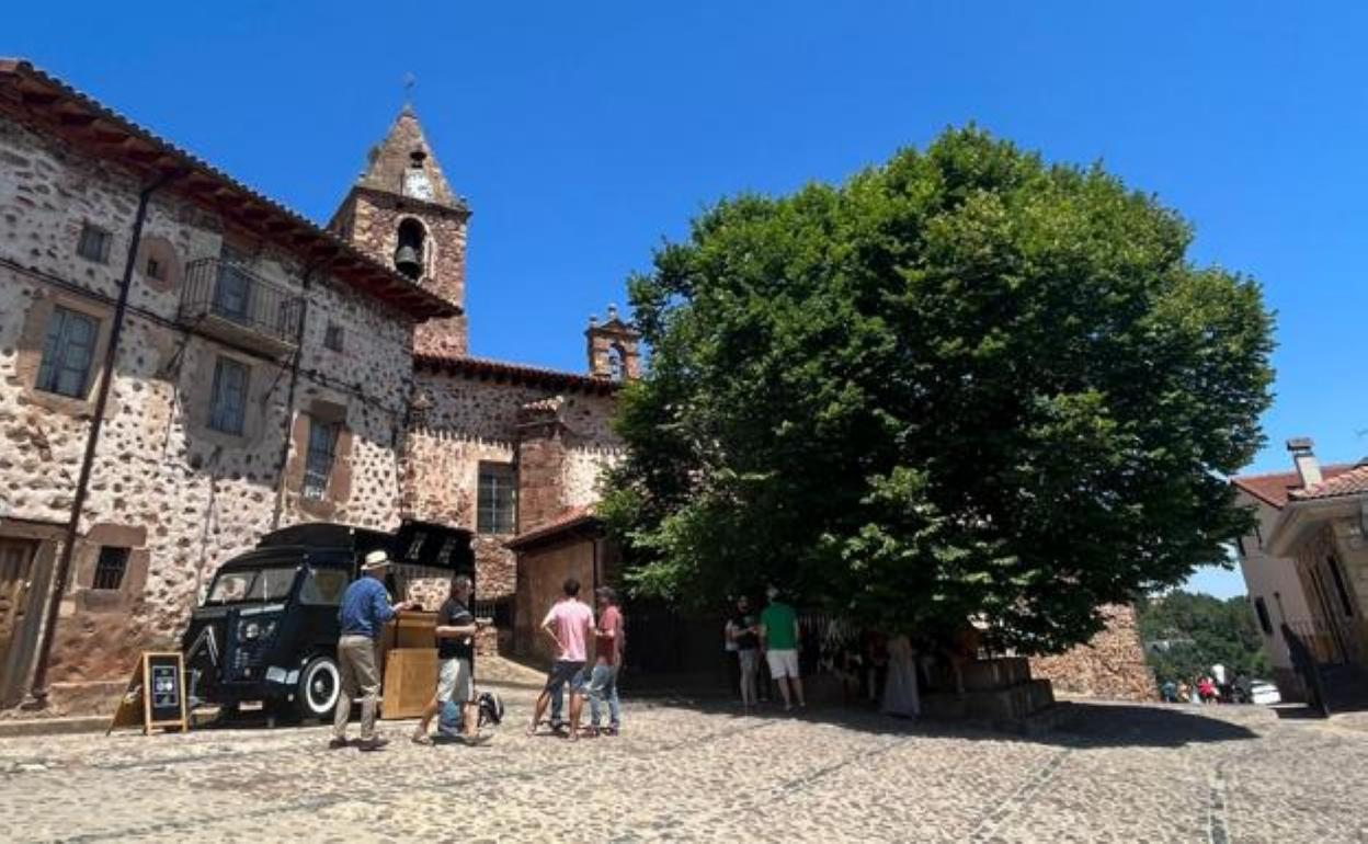 El olmo de El Rasillo de Cameros