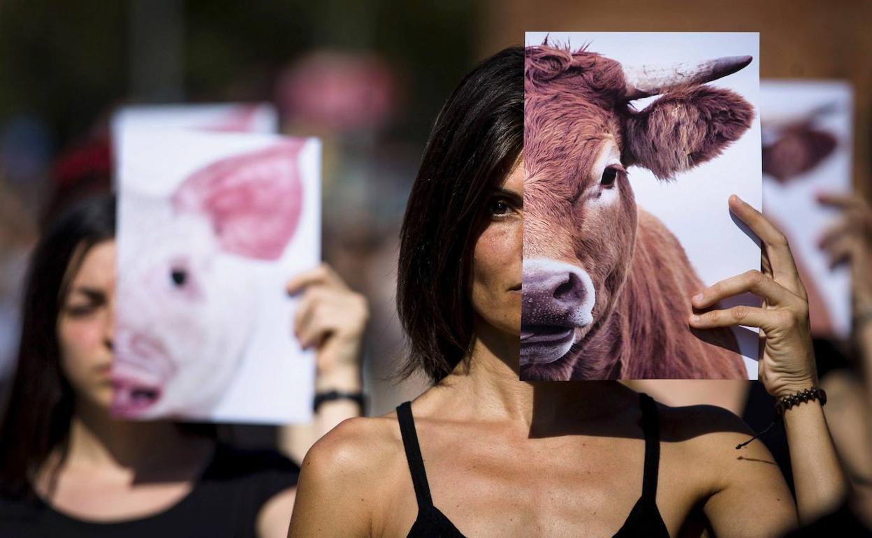 Protesta contra el maltrato animal