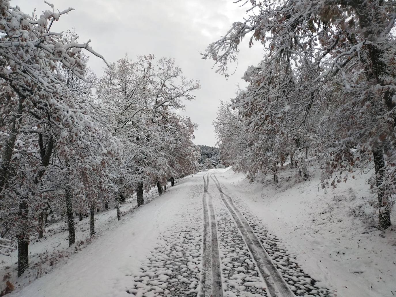 Fotos: La nieve llega a La Rioja