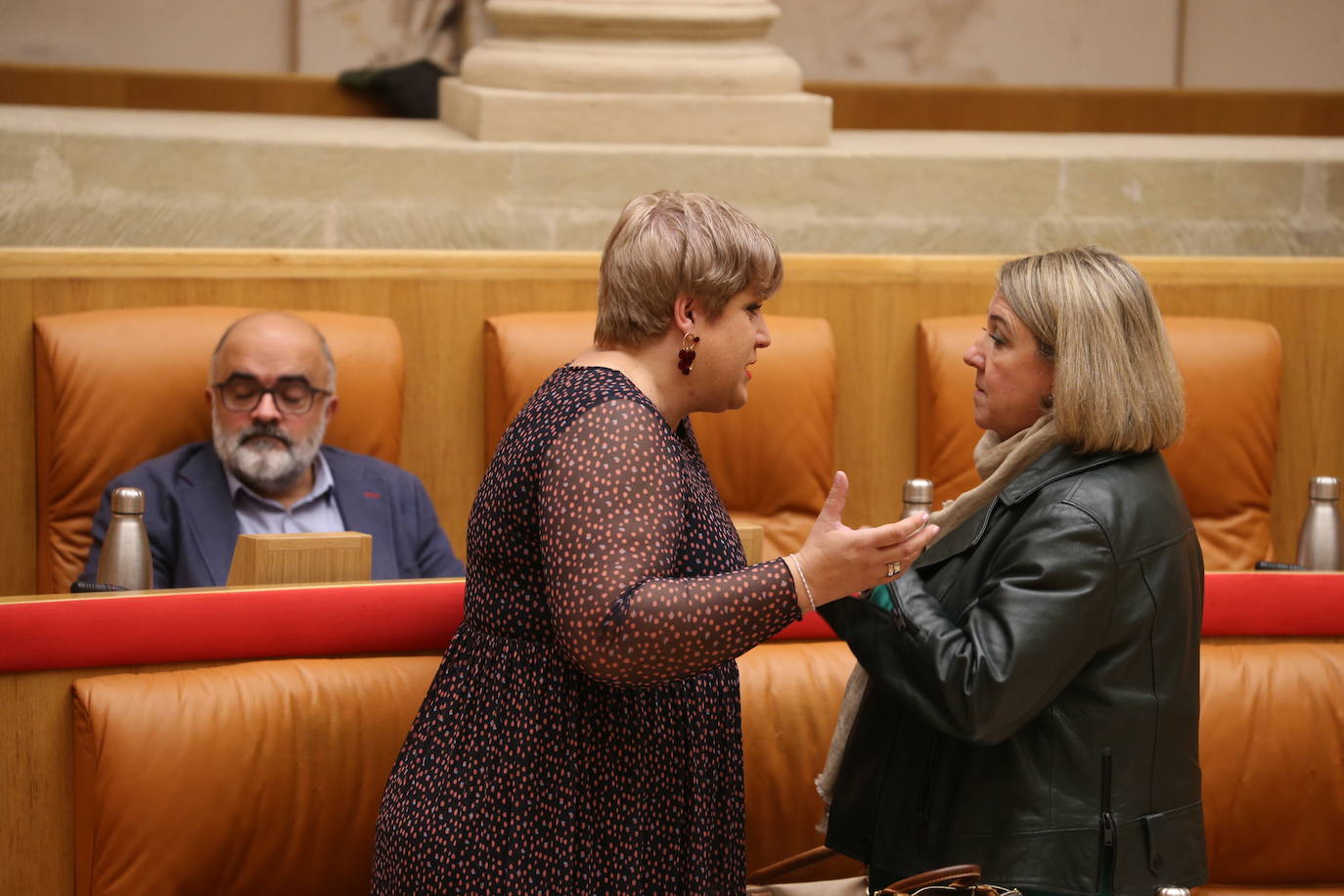 Fotos: Sesión ordinaria en el Parlamento riojano