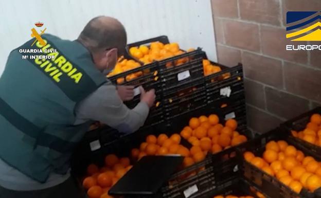 Imagen de la operación en Alicante, en la que se detectó una partida de naranjas contaminadas con plaguicidas. 