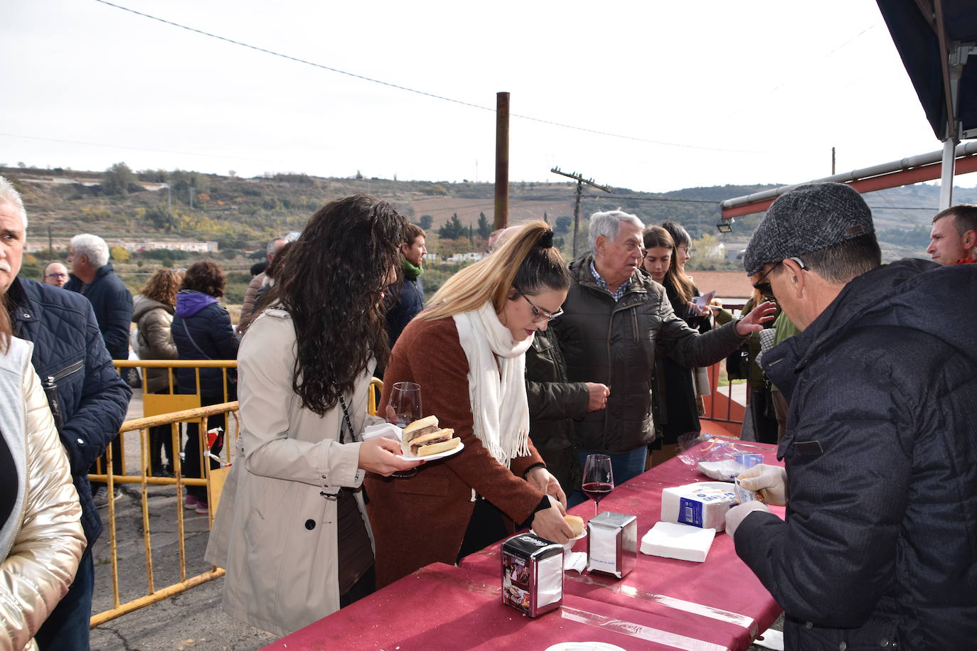 Fotos: Ausejo celebra el vino joven más joven